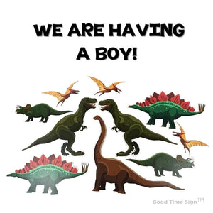 Evansville Yard Card Sign Rental Baby Announcement - Dinosaur Theme